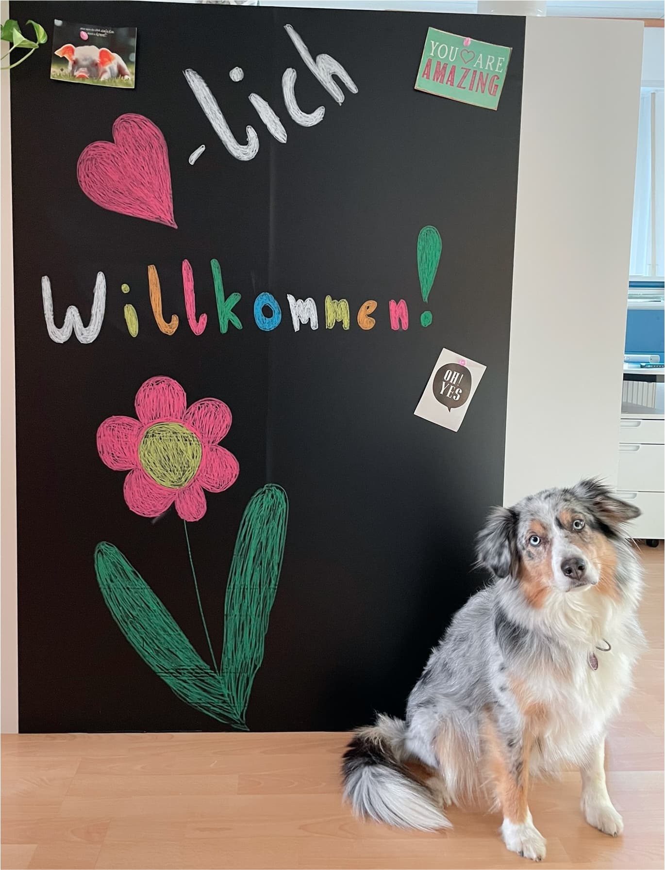 Foto von Mila vor einer Tafel auf der Herzlich willkommen steht